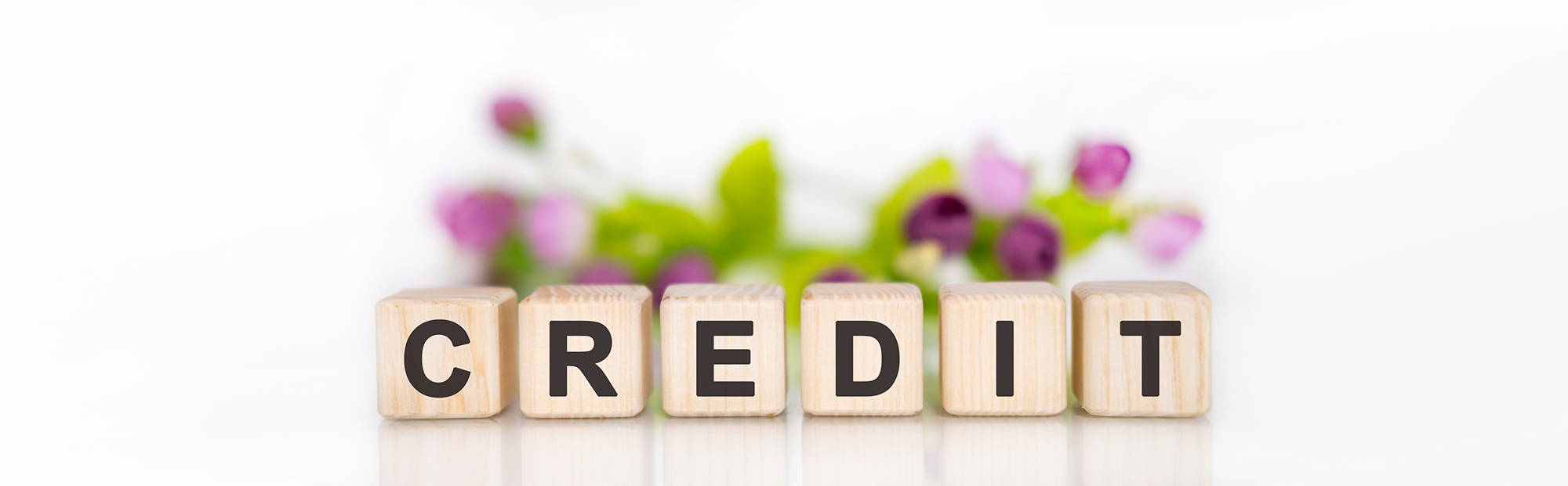 Building Blocks Spelling 