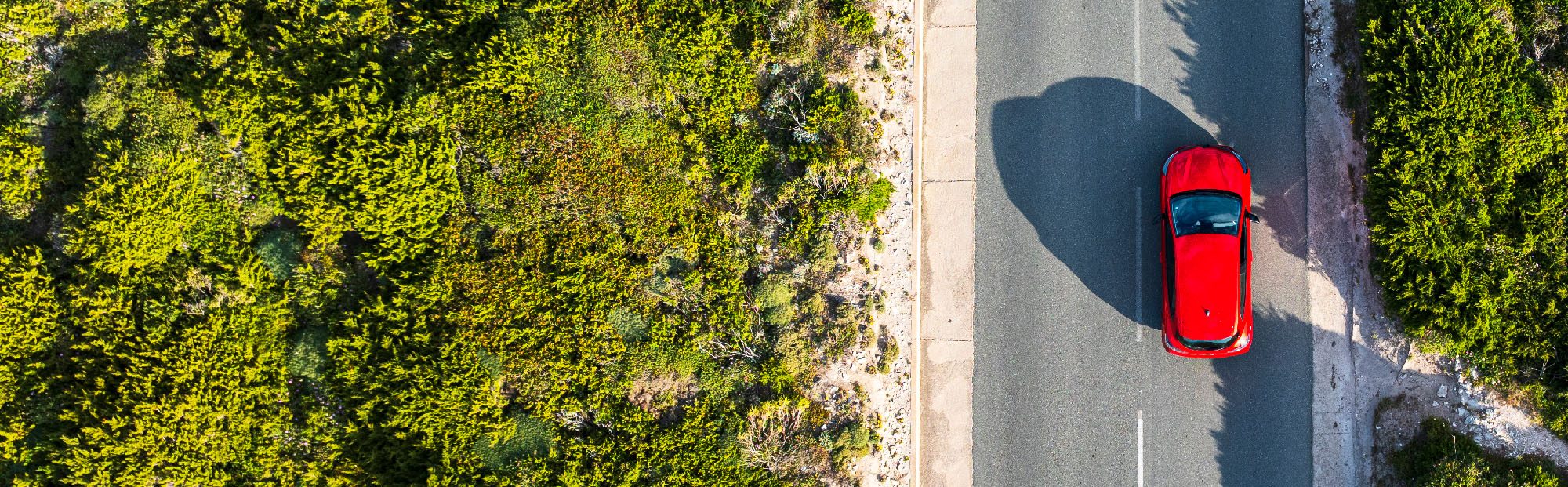 Aerial View of Car Driving Up Two-Lane Road Between Trees on Sunny Day