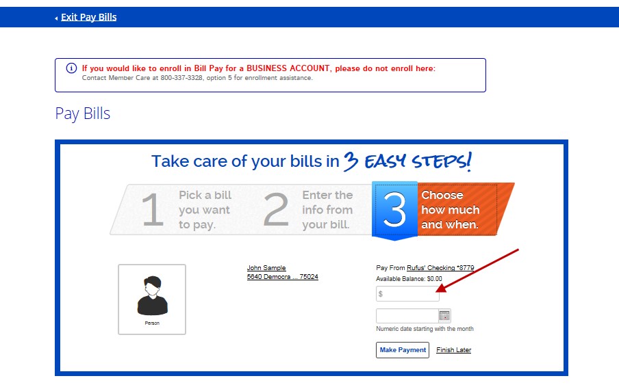 OLB Popmoney Overview with Amount Field Popmoney Overview with Amount Transferred and Make Payment Option