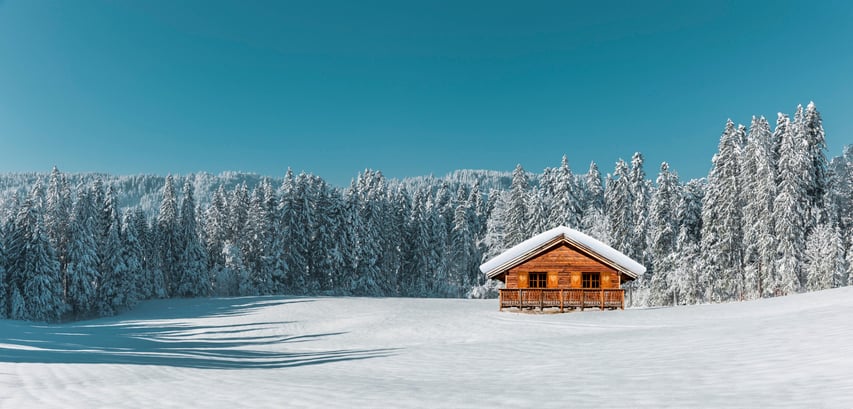 Log Cabin in the Middle of Snow and Trees
