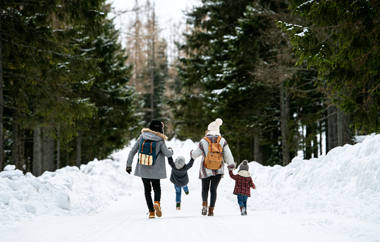 Family Holding Hands in Snow and Walking Down Path